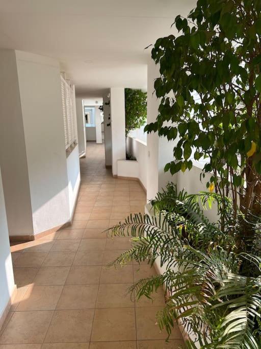 Vistas Mar Y Montana Apartment Benalmadena Ngoại thất bức ảnh